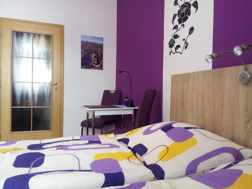 Penzion V Centru - Apartmány Smetanka Ceske Budejovice Ruang foto