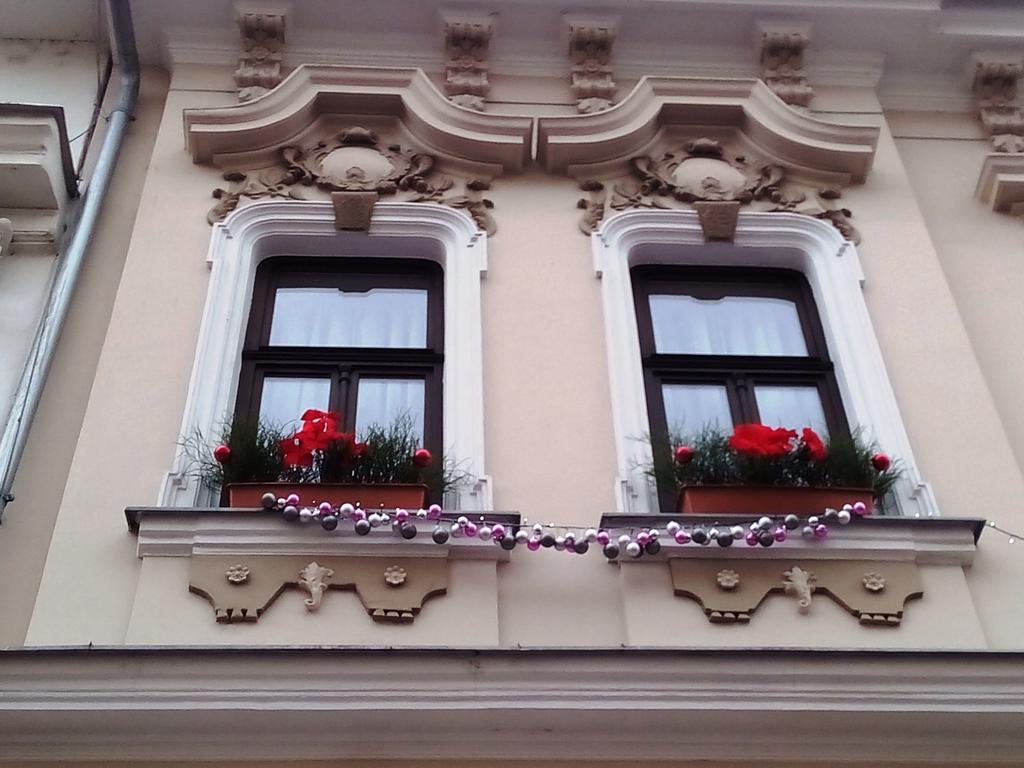 Penzion V Centru - Apartmány Smetanka Ceske Budejovice Bagian luar foto